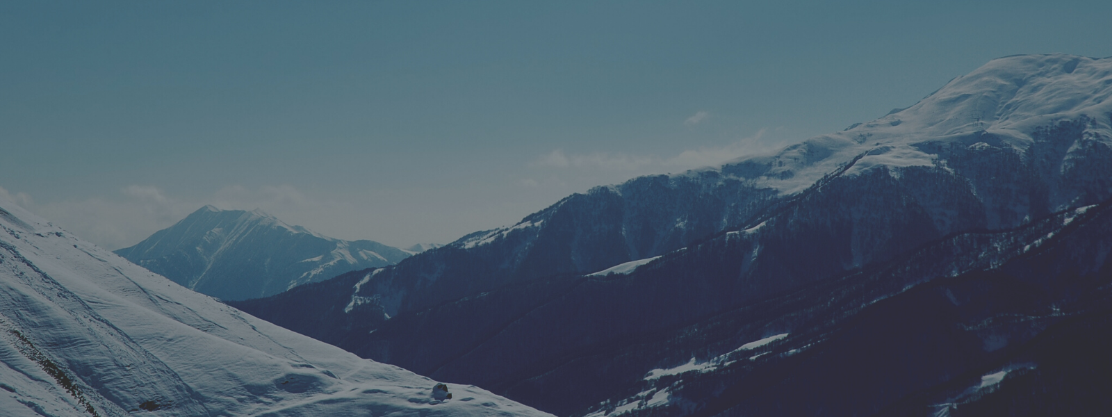 WEBINAIRE:   Comment mettre en place la transition écologique dans mon entreprise&nbsp;?